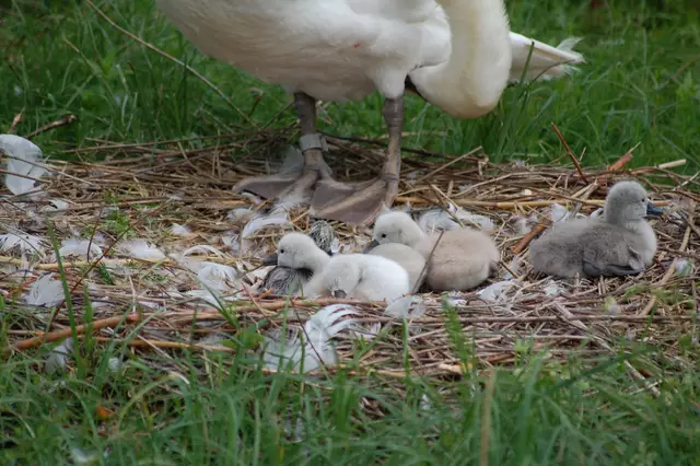 Foto: Heidrun Rosenberger