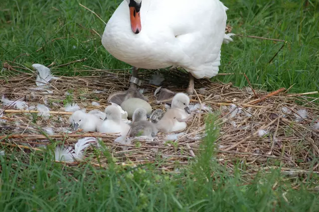 Foto: Heidrun Rosenberger