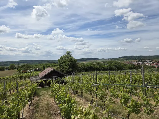 Foto: privat Helga Kormesch