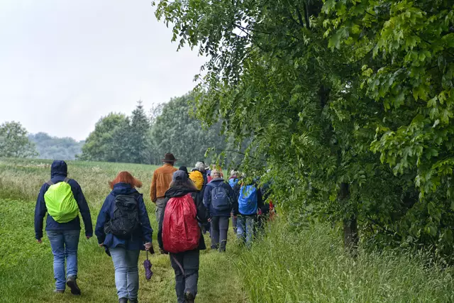 Nun wandern wir zwischen Wald und Blumenwiese. | Foto: Michael Harmsen