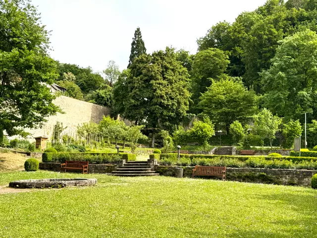 Foto: Heide Böllinger aus Bad Friedrichshall