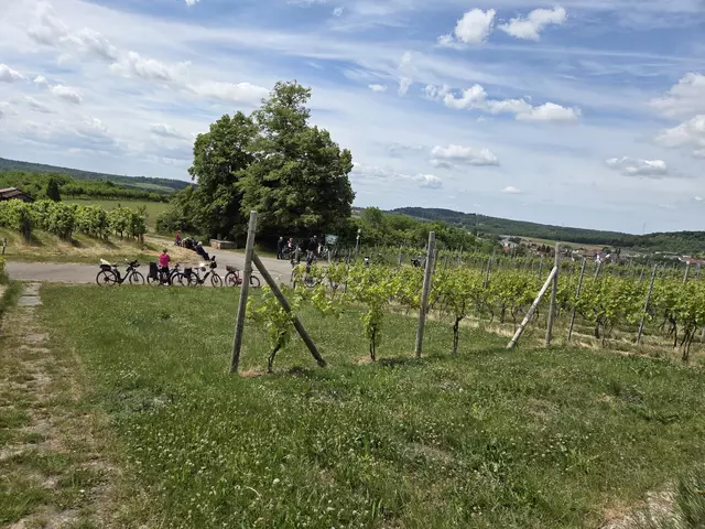 Foto: privat Helga Kormesch