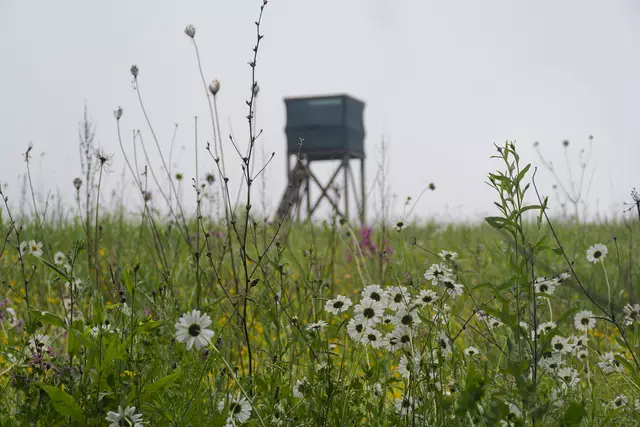 Die Natur braucht den Regen !!! | Foto: Michael Harmsen