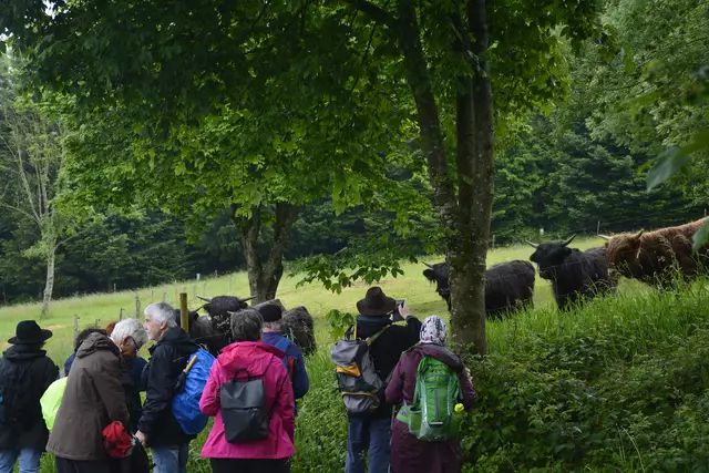 Wer bestaunt hier wehn? | Foto: Michael Harmsen