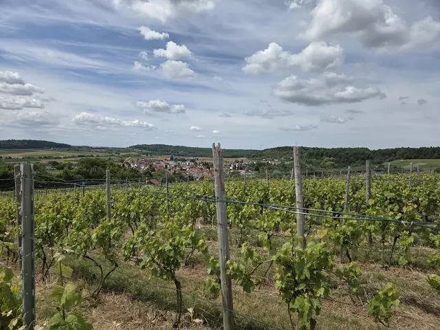 Foto: privat Helga Kormesch