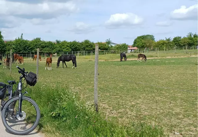 Foto: privat Reiner Brunnhuber