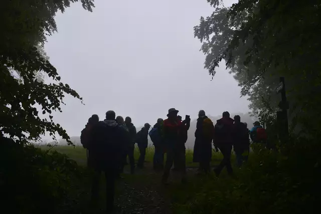 Als wir aus dem Wald kommen wird es etwas heller und etwas grauer. | Foto: Michael Harmsen