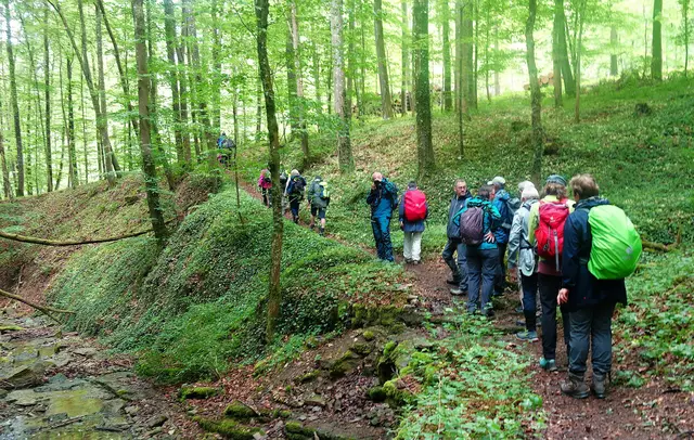 Ab-und Aufstieg über die "Geschworenen Klinge" nach Roigheim. | Foto: Isolde Reitz