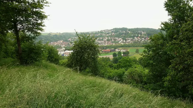 Blick auf Roigheim beim Aussichtspunkt am Korber Weg. | Foto: Isolde Reitz