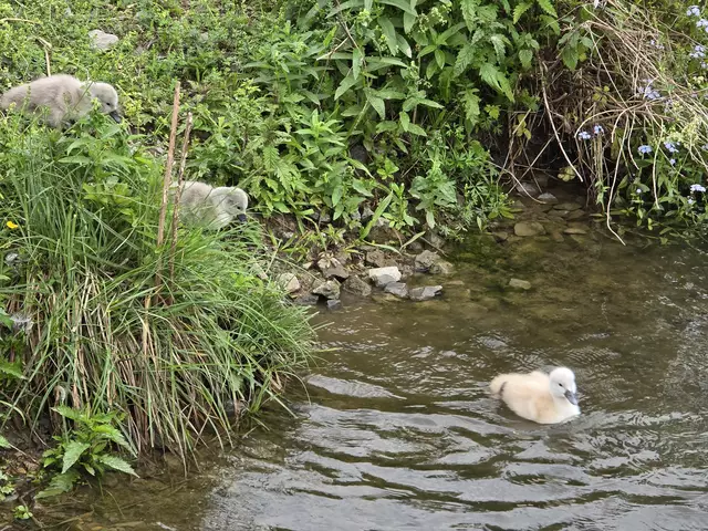 Foto: Heidrun Rosenberger