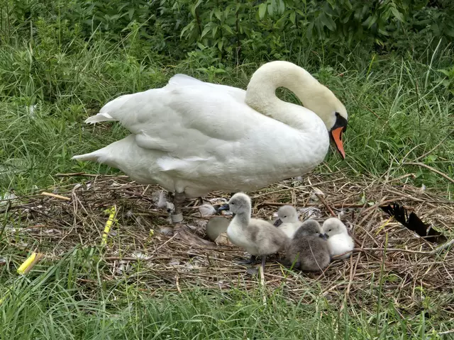 Foto: Heidrun Rosenberger