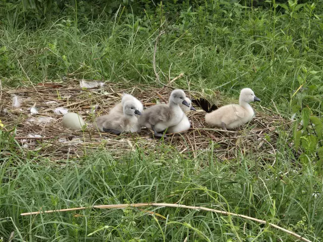 Foto: Heidrun Rosenberger