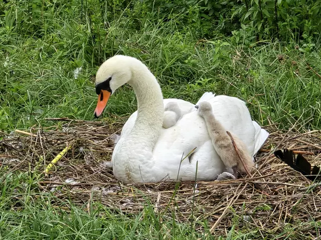 Foto: Heidrun Rosenberger
