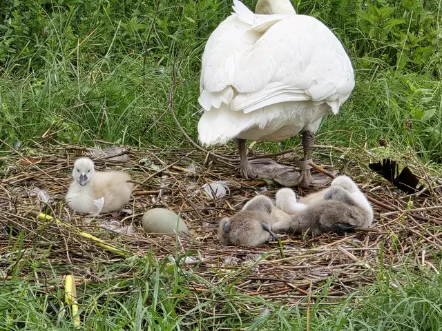 Foto: Heidrun Rosenberger