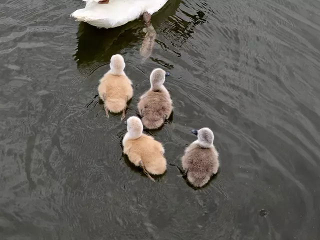 Foto: Heidrun Rosenberger