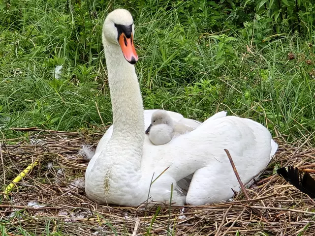 Foto: Heidrun Rosenberger