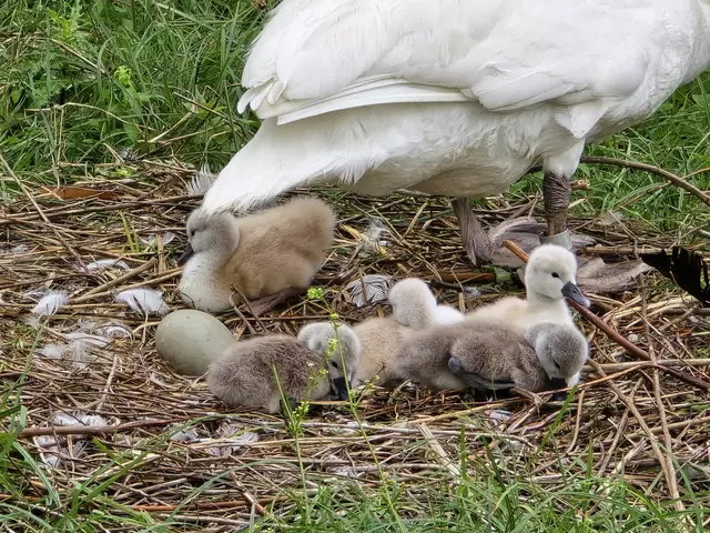 Foto: Heidrun Rosenberger