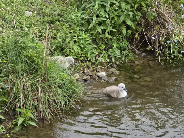 Foto: Heidrun Rosenberger