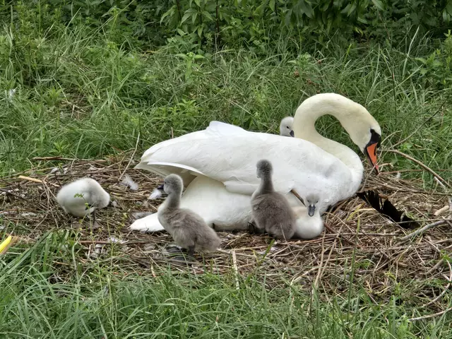 Foto: Heidrun Rosenberger