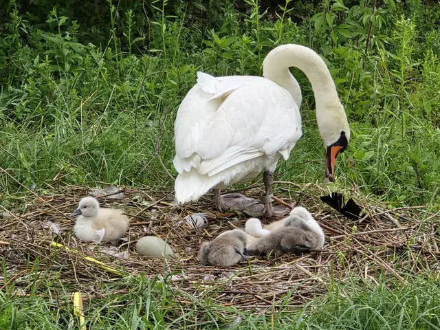 Foto: Heidrun Rosenberger