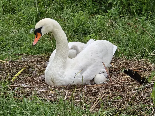 Foto: Heidrun Rosenberger