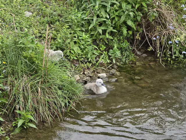 Foto: Heidrun Rosenberger