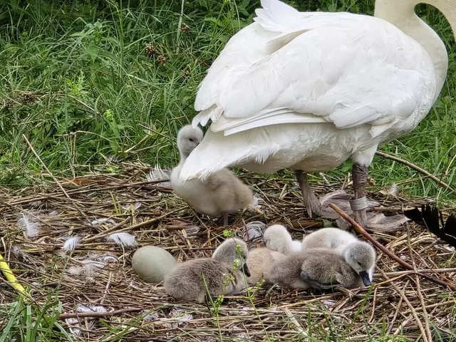 Foto: Heidrun Rosenberger