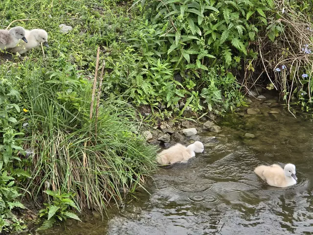 Foto: Heidrun Rosenberger