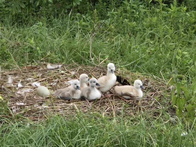 Foto: Heidrun Rosenberger