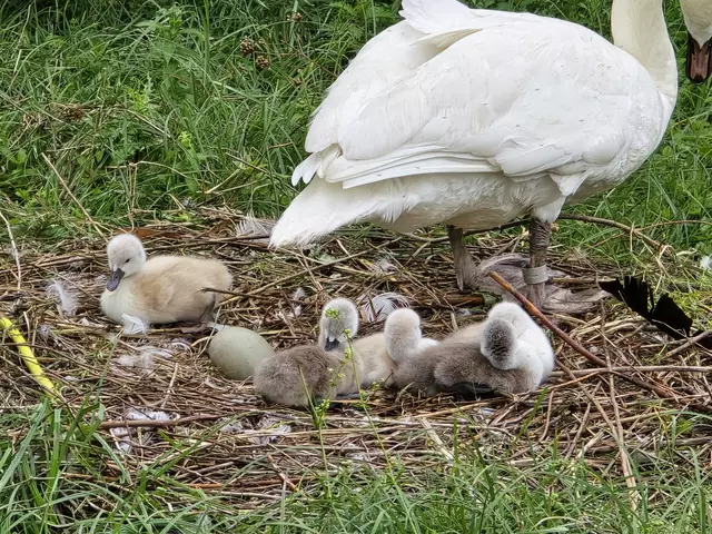 Foto: Heidrun Rosenberger