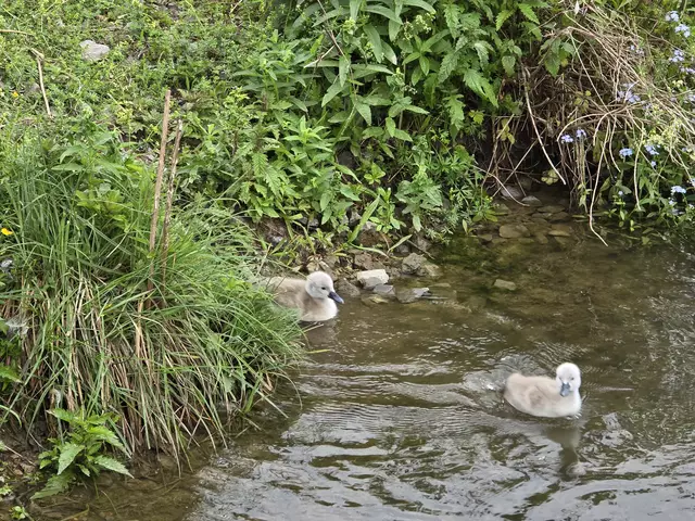 Foto: Heidrun Rosenberger