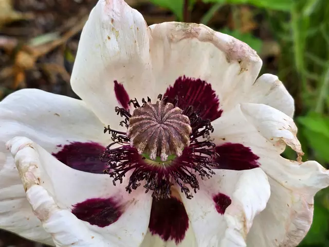 Foto: Heidrun Rosenberger