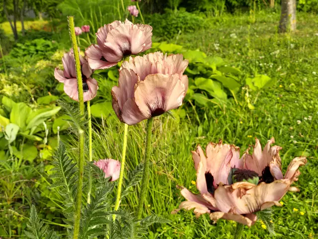 Foto: Heidrun Rosenberger