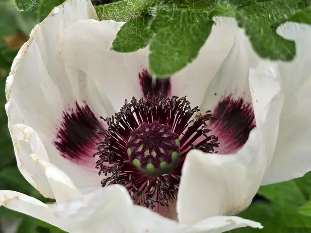 Foto: Heidrun Rosenberger