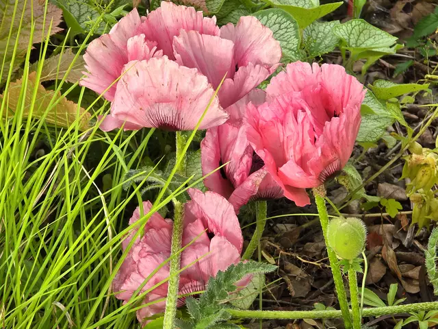 Foto: Heidrun Rosenberger