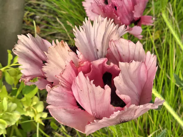 Foto: Heidrun Rosenberger