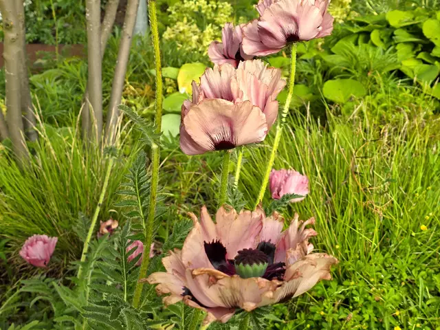 Foto: Heidrun Rosenberger