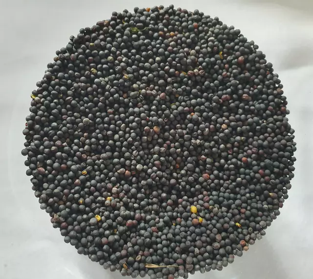 Mohnsamen | Foto: C.W. privat