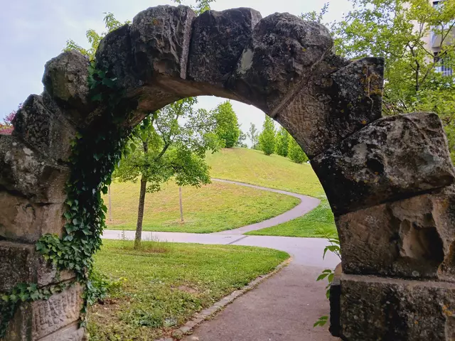 Zurück in Bad Rappenau  - schöner Blick durch diesen Torbogen. 

 | Foto: sigischlottke