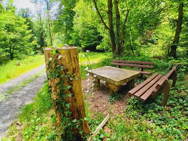 Der Steinerne Tisch  - auch hier kann man kurz verweilen.   | Foto: sigischlottke