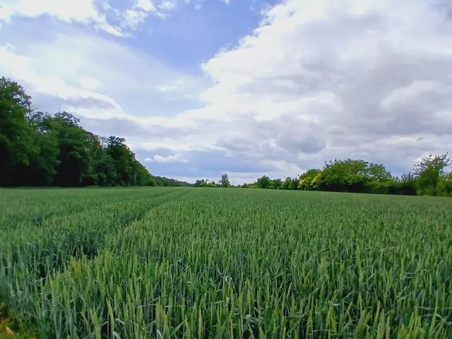 Die ersten schönen Ausblicke,  sobald man aus Bad Rappenau draußen ist.   | Foto: sigischlottke