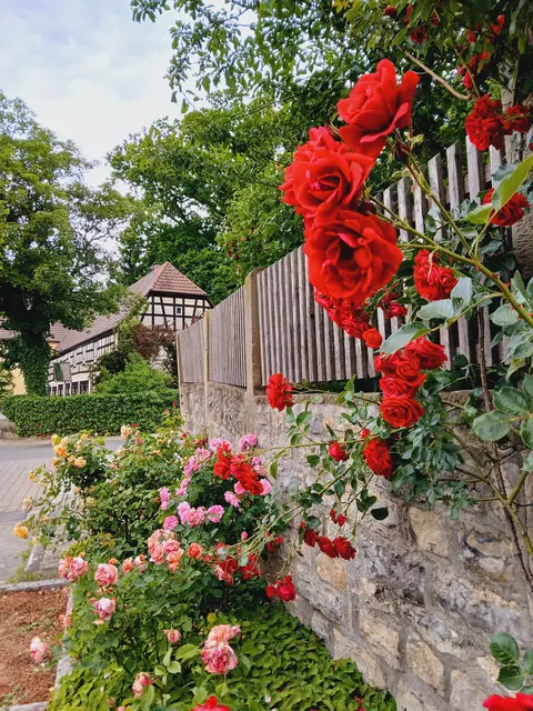 Ländliche Idylle.  | Foto: sigischlottke