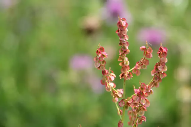 Heute sind wir mal ne Stunde raus. Unterhalb von unserem Haus zur wunderschönen Blumenwiese und zurück am Kocher entlang🌸🌞😎🌸 | Foto: Ralf Röser