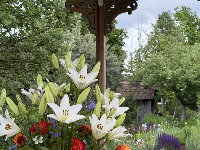 Foto: Moni Bordt