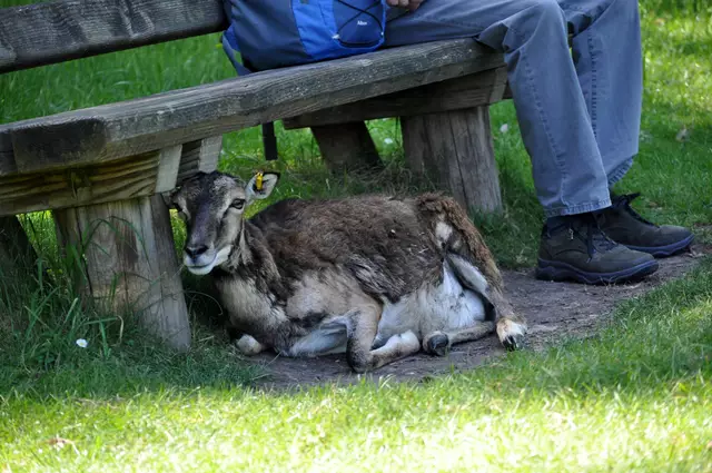 So, mein Platz! | Foto: Daniela Somers