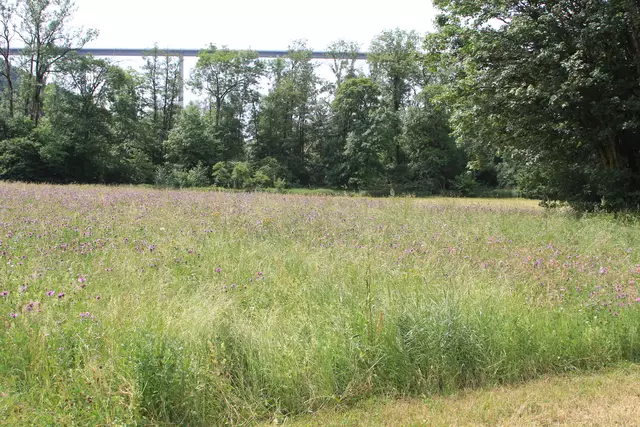Heute sind wir mal ne Stunde raus. Unterhalb von unserem Haus zur wunderschönen Blumenwiese und zurück am Kocher entlang🌸🌞😎🌸 | Foto: Ralf Röser
