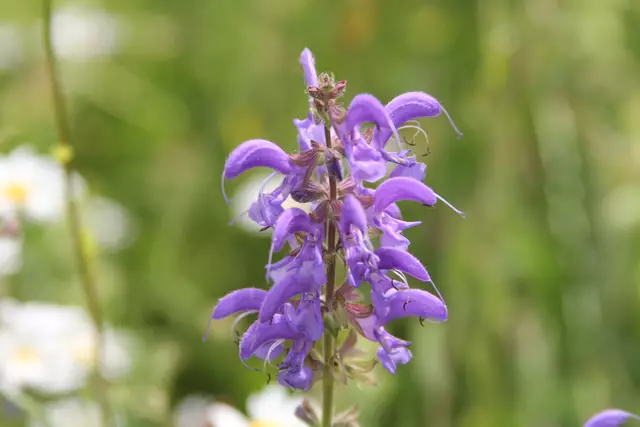 Heute sind wir mal ne Stunde raus. Unterhalb von unserem Haus zur wunderschönen Blumenwiese und zurück am Kocher entlang🌸🌞😎🌸 | Foto: Ralf Röser