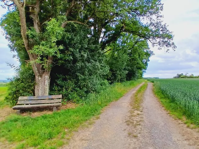 Ein Bänkle lädt bei Hitze zur ersten Trinkpause ein.   | Foto: sigischlottke