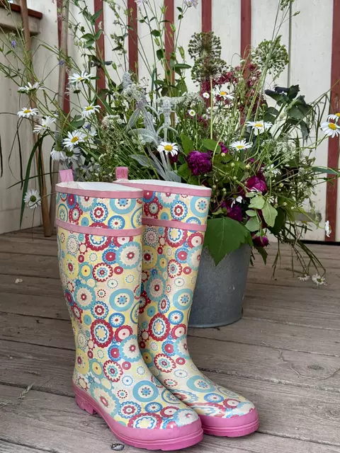 Foto: Moni Bordt