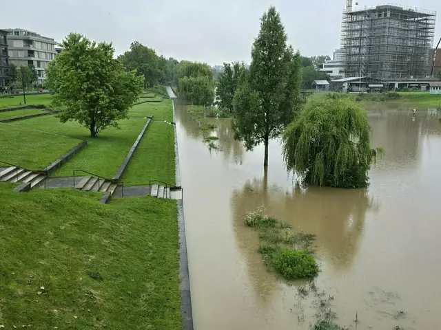 Heimatreporterin Heidrun Rosenberger hat dieses Bild des Hochwassers am Heilbronner Neckarbogen aufgenommen. | Foto: Heidrun Rosenberger
